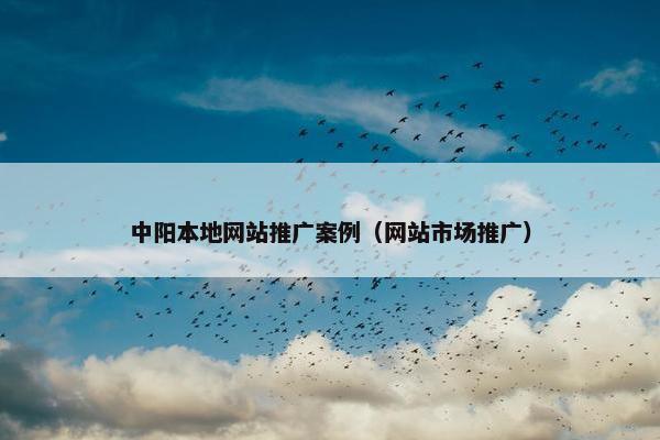 中阳本地网站推广案例（网站市场推广）