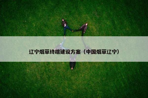 辽宁烟草终端建设方案（中国烟草辽宁）