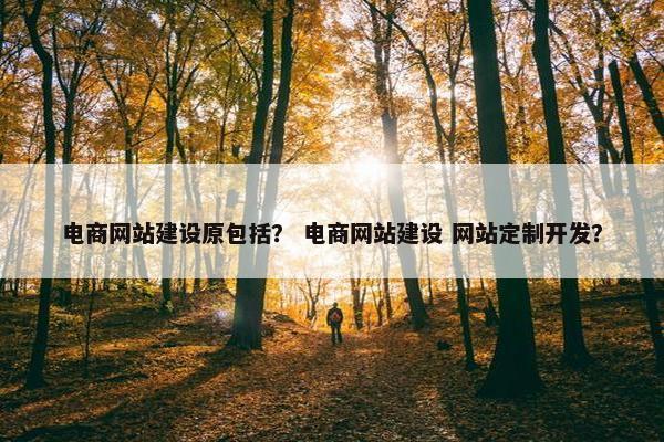 电商网站建设原包括？ 电商网站建设 网站定制开发？