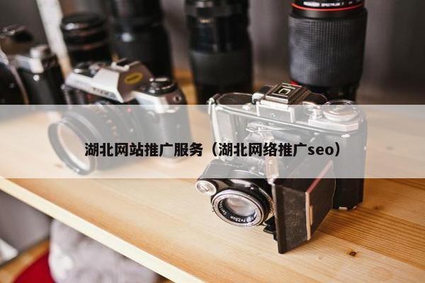 湖北网站推广服务（湖北网络推广seo）
