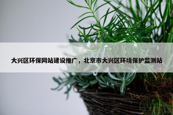 大兴区环保网站建设推广，北京市大兴区环境保护监测站