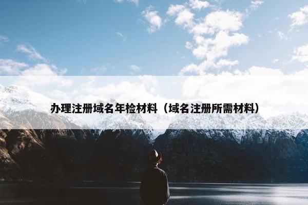 办理注册域名年检材料（域名注册所需材料）