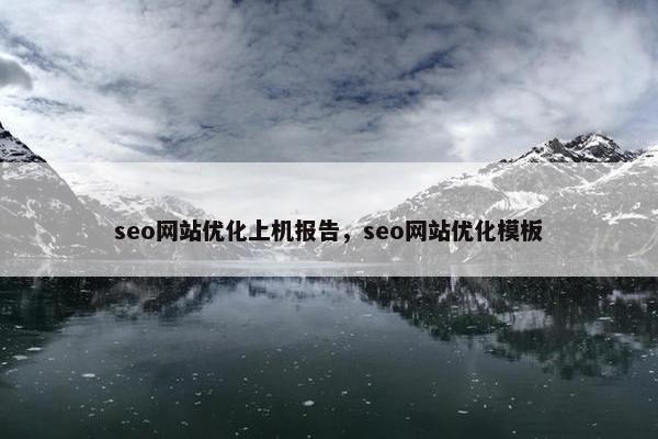 seo网站优化上机报告，seo网站优化模板