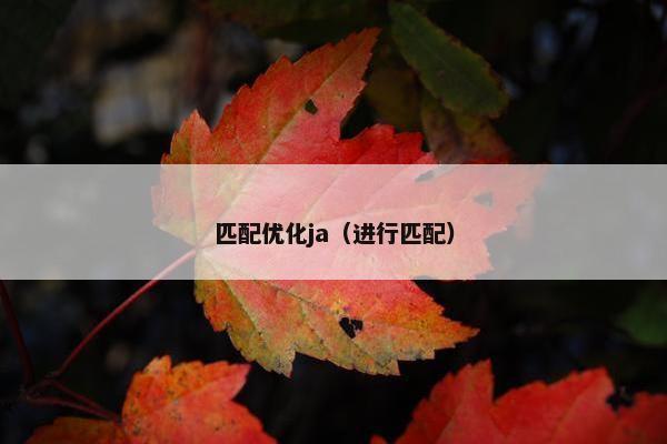 匹配优化ja（进行匹配）