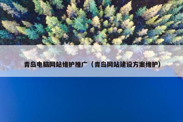 青岛电脑网站维护推广（青岛网站建设方案维护）