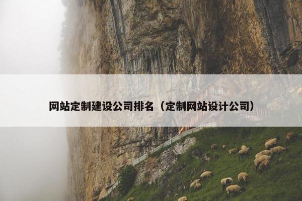 网站定制建设公司排名（定制网站设计公司）