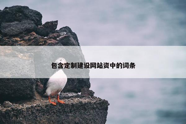 包含定制建设网站资中的词条