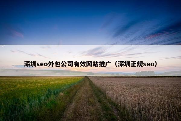 深圳seo外包公司有效网站推广（深圳正规seo）