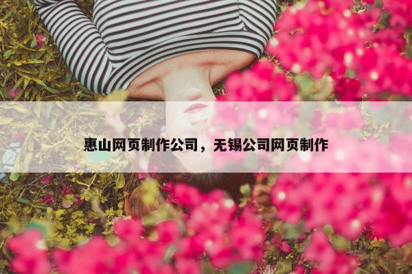 惠山网页制作公司，无锡公司网页制作