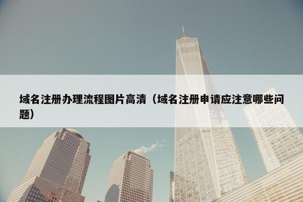 域名注册办理流程图片高清（域名注册申请应注意哪些问题）