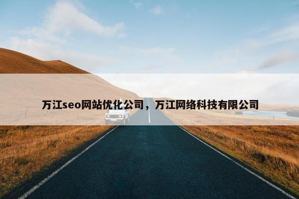 万江seo网站优化公司，万江网络科技有限公司