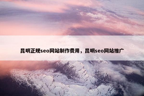 昆明正规seo网站制作费用，昆明seo网站推广