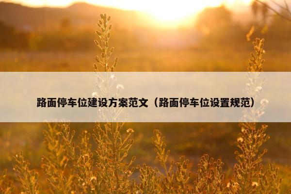 路面停车位建设方案范文（路面停车位设置规范）