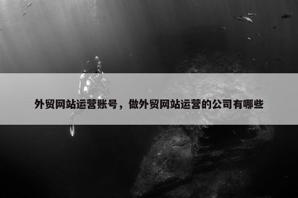 外贸网站运营账号，做外贸网站运营的公司有哪些