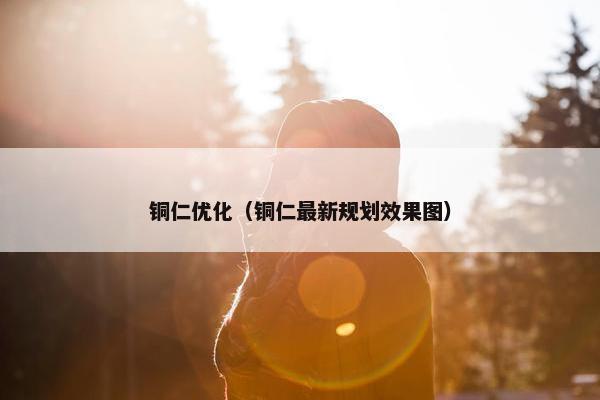 铜仁优化（铜仁最新规划效果图）