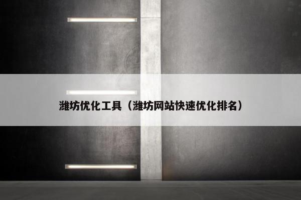 潍坊优化工具（潍坊网站快速优化排名）