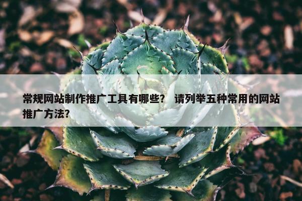 常规网站制作推广工具有哪些？ 请列举五种常用的网站推广方法？