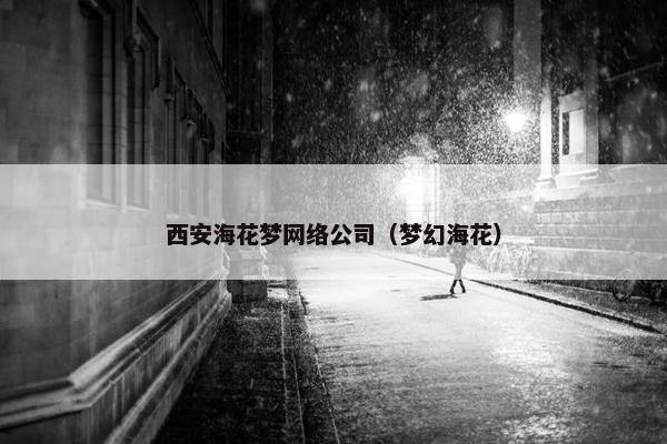 西安海花梦网络公司（梦幻海花）