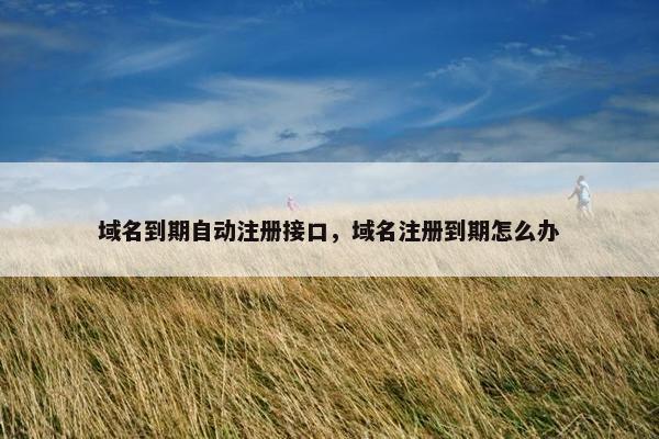 域名到期自动注册接口，域名注册到期怎么办