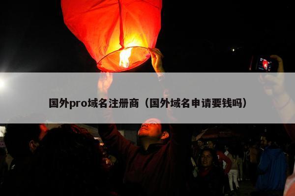 国外pro域名注册商（国外域名申请要钱吗）