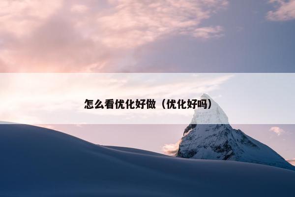 怎么看优化好做（优化好吗）