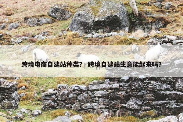 跨境电商自建站种类？ 跨境自建站生意能起来吗？