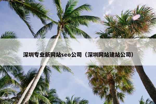 深圳专业新网站seo公司（深圳网站建站公司）