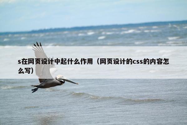 s在网页设计中起什么作用（网页设计的css的内容怎么写）