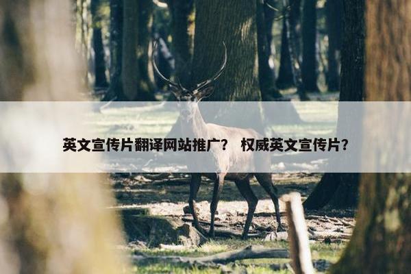 英文宣传片翻译网站推广？ 权威英文宣传片？