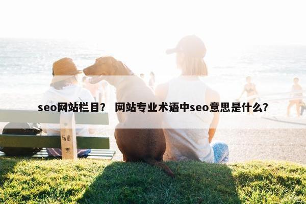 seo网站栏目？ 网站专业术语中seo意思是什么？