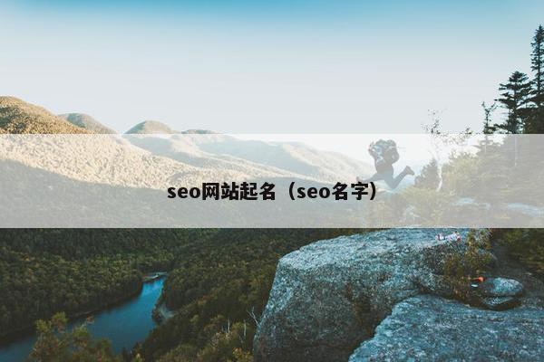 seo网站起名（seo名字）