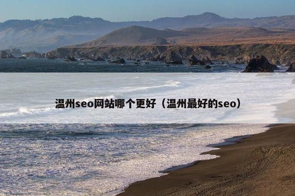 温州seo网站哪个更好（温州最好的seo）