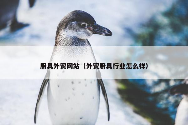 厨具外贸网站（外贸厨具行业怎么样）