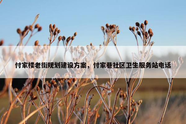 付家楼老街规划建设方案，付家巷社区卫生服务站电话