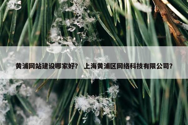 黄浦网站建设哪家好？ 上海黄浦区网络科技有限公司？