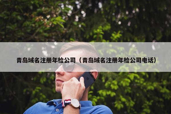 青岛域名注册年检公司（青岛域名注册年检公司电话）