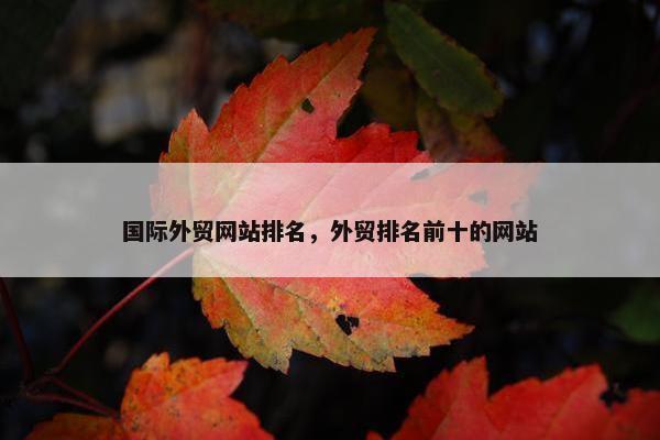 国际外贸网站排名，外贸排名前十的网站
