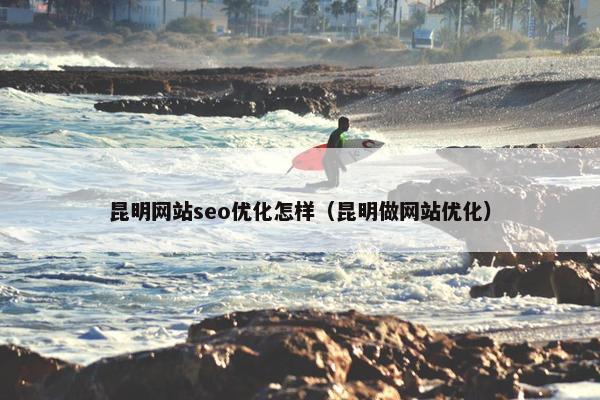 昆明网站seo优化怎样（昆明做网站优化）
