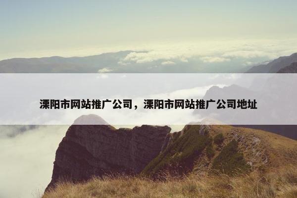 溧阳市网站推广公司，溧阳市网站推广公司地址
