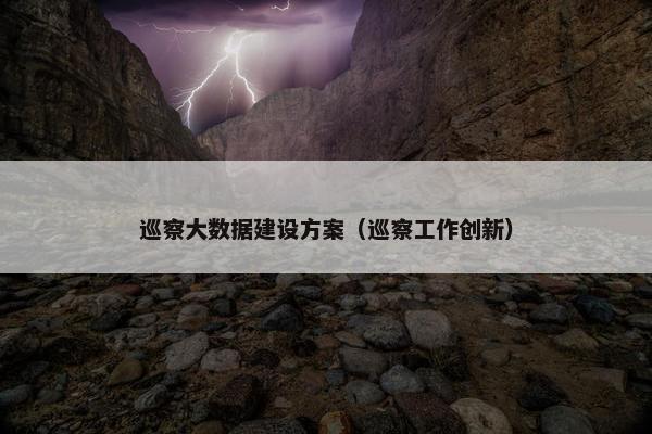 巡察大数据建设方案（巡察工作创新）