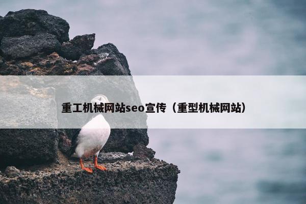 重工机械网站seo宣传（重型机械网站）
