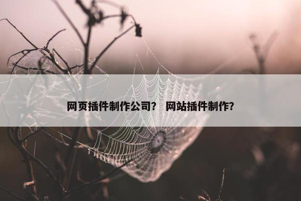 网页插件制作公司？ 网站插件制作？