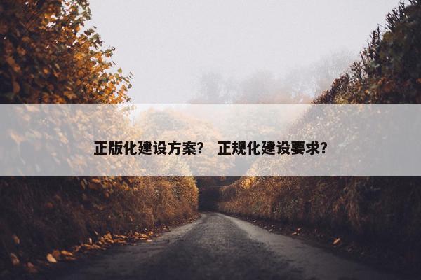 正版化建设方案？ 正规化建设要求？