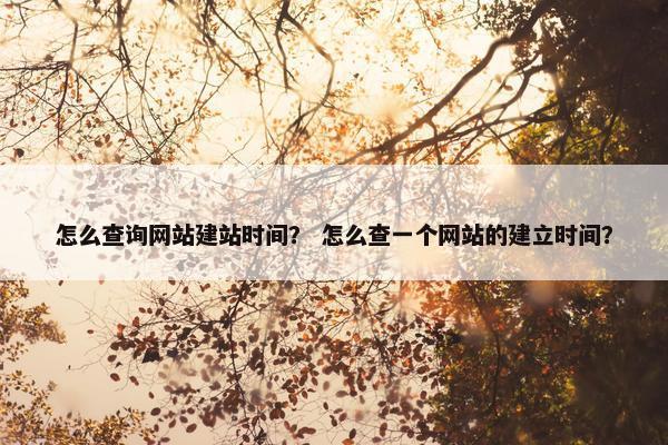 怎么查询网站建站时间？ 怎么查一个网站的建立时间？