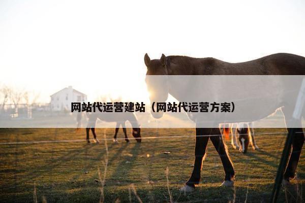 网站代运营建站（网站代运营方案）