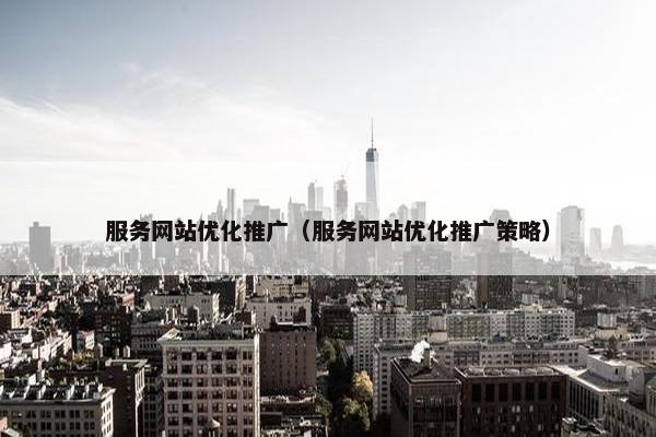 服务网站优化推广（服务网站优化推广策略）