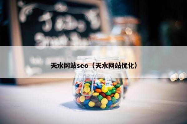天水网站seo（天水网站优化）