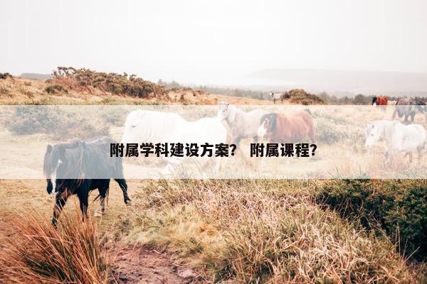 附属学科建设方案？ 附属课程？