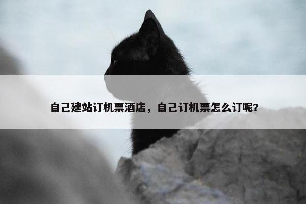 自己建站订机票酒店，自己订机票怎么订呢?