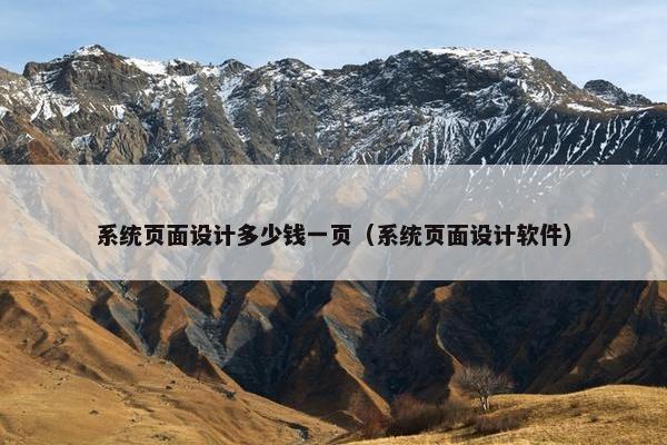 系统页面设计多少钱一页（系统页面设计软件）